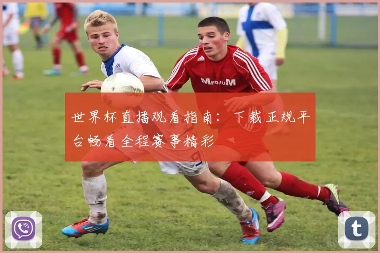 世界杯直播观看指南：下载正规平台畅看全程赛事精彩